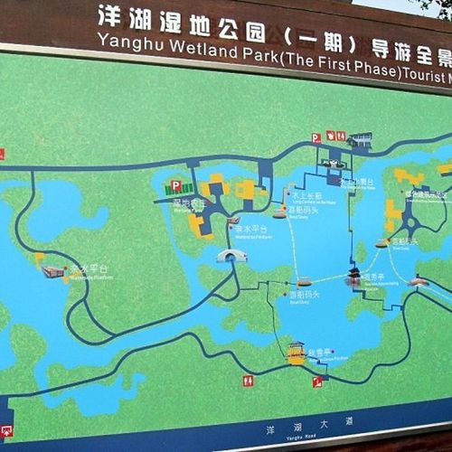 洋湖湿地公园