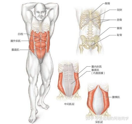 如何锻炼腹肌更加有效