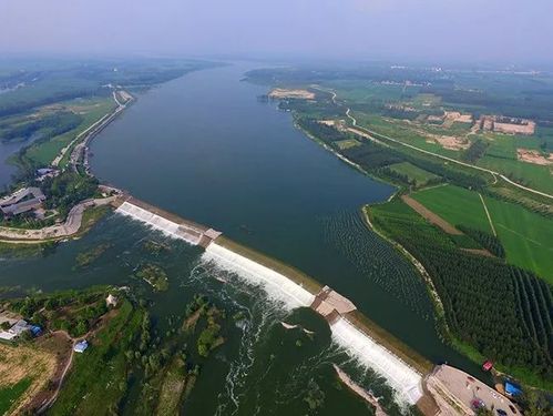 汶水汤汤东平湖管理局大汶河下游综合治理工作纪实