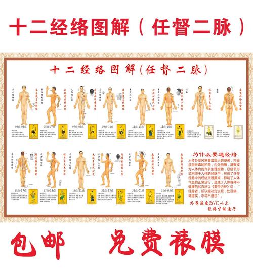 十二经络走向图 男女全身穴位分布图纸中医养生经脉走向图经络图