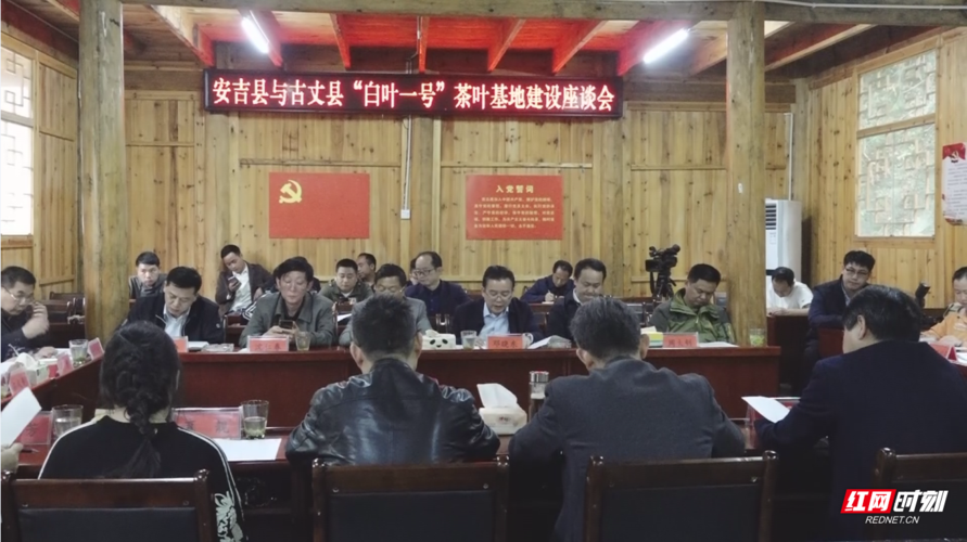 安吉县党政代表团来古丈县调研白叶一号茶叶基地建设