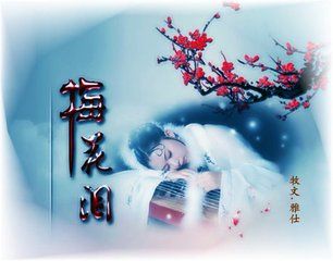 梅花泪