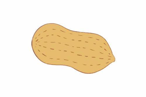 花生简笔画简单画法教程图解