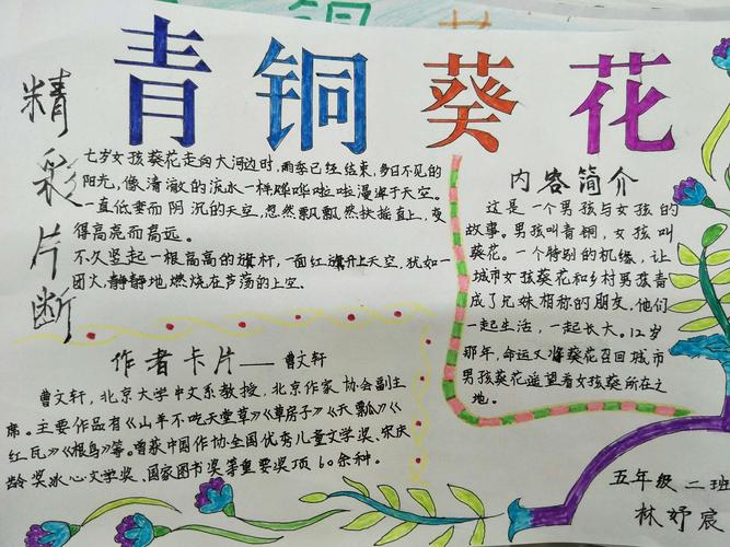 博山区五岭路小学小荷中队——《青铜葵花》手抄报剪影