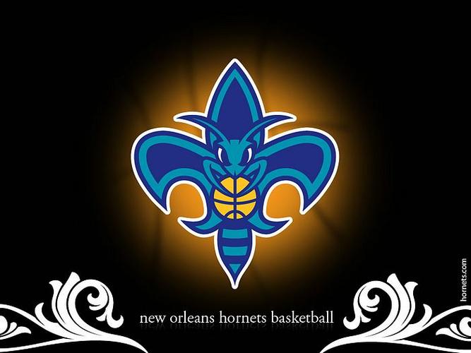 nba:新奥尔良黄蜂队2007-08赛季官方桌面壁纸:new orleans hornets