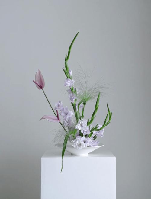 一枚猫大人 用剑兰创作中式插花, 就像鱼儿回到池塘里, 匹配到家