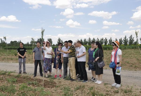杨方一行到陕西省富平县齐村镇油用牡丹种植基地参观
