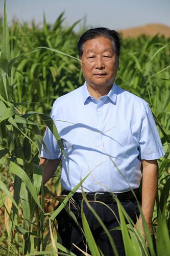 2020年9月13日,林占熺在内蒙古自治区阿拉善盟菌草田里留影(资料照片)