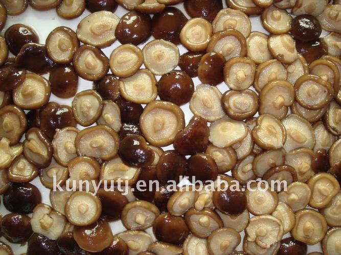 canned shiitake mushroom whole with high quality