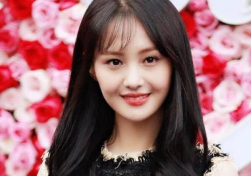 郑爽个人资料简介及其星路历程