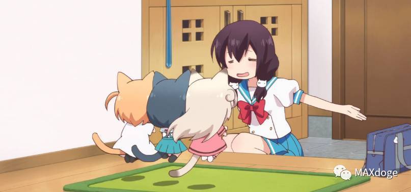 热点|「猫咪days」开播,论泡面番的存在价值!