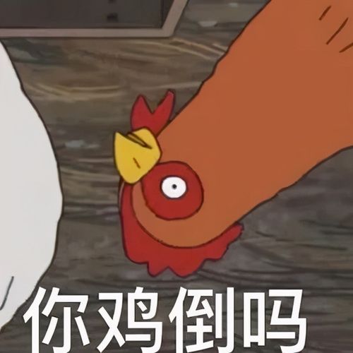 这个辣鸡才是浙江人心里yyds