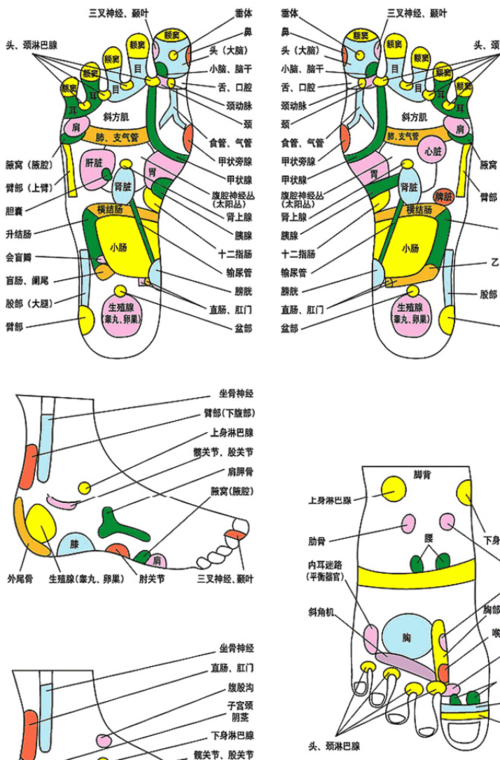 收藏学习【高清脚底足底穴位对应器官图