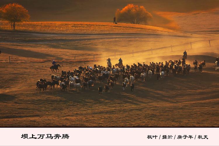 万马奔腾场面非常壮观