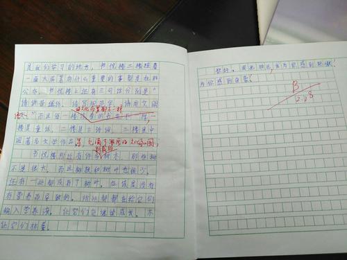 徐景灏同学的现场作文草稿
