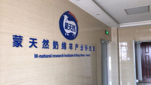 蒙天然奶绵羊再获1500只订单正式开始出栏交付