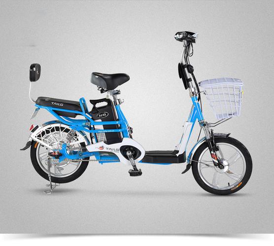 台铃小清铃金时捷喜仕达愉途菲尔电动车锂电池48v美团外卖饿了么_7折