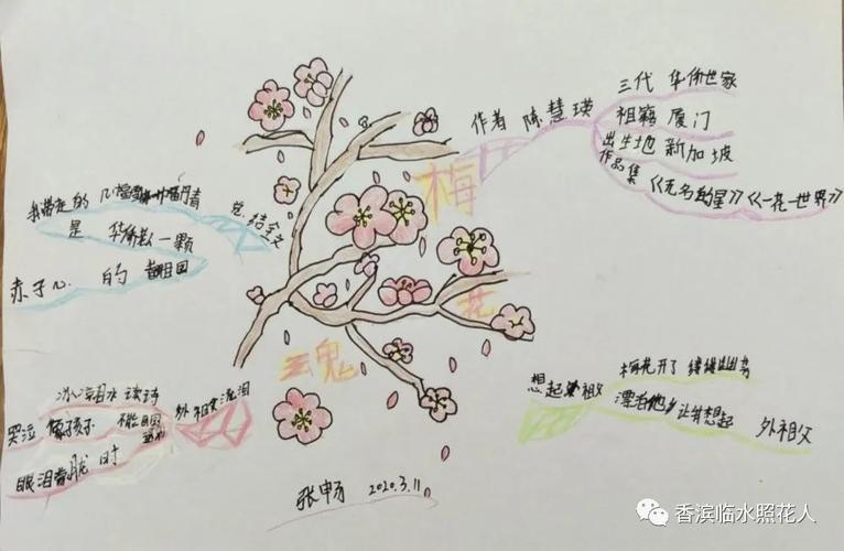 梅花魂思维导图资料汇编优秀作业是班级的财富应该共享