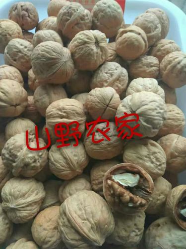 山野农家迁西土特产,老品种四大瓣核桃