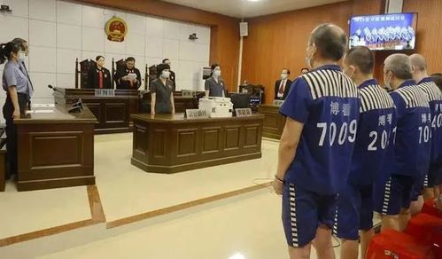 判了玉林这些黑社会大佬被判25年没收全部财产