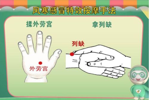 3,宝宝风热感冒:症见发热重,微恶风或恶寒,咽痛,口干,有汗,面赤,鼻塞