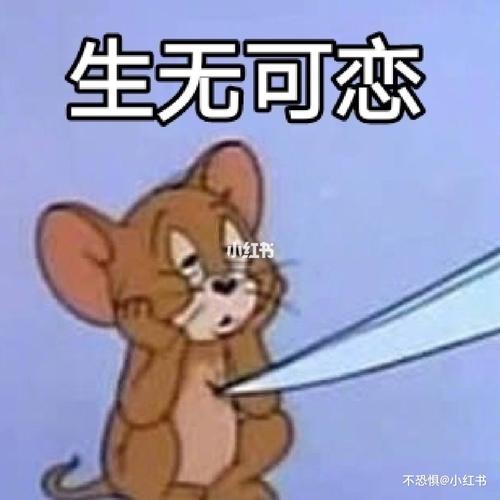 生无可恋表情包