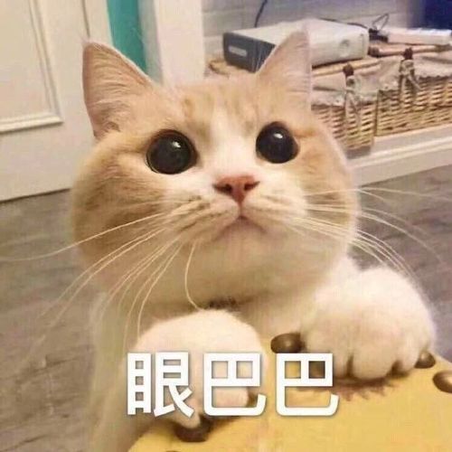 沙雕表情包