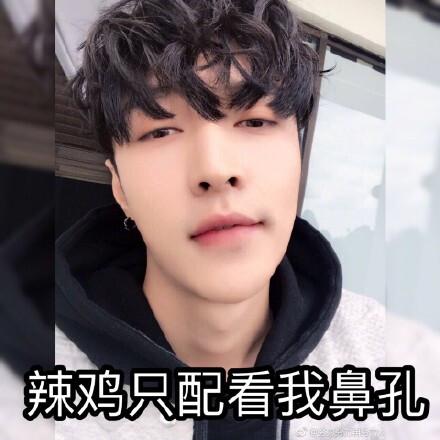 张艺兴表情包:辣鸡只配看我鼻孔