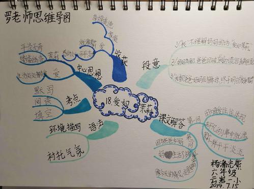 2019罗老师思维导图-杨潘光紫优秀作品