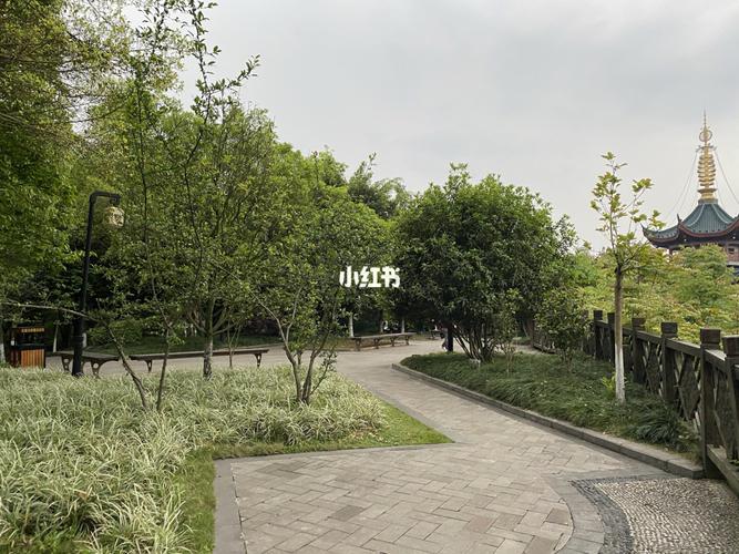重庆永川兴龙湖公园_摄影_谈心_学习_重庆拍照_出行