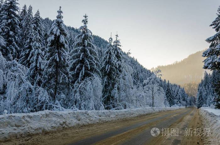 冬山景观云杉的冠状会导致道路