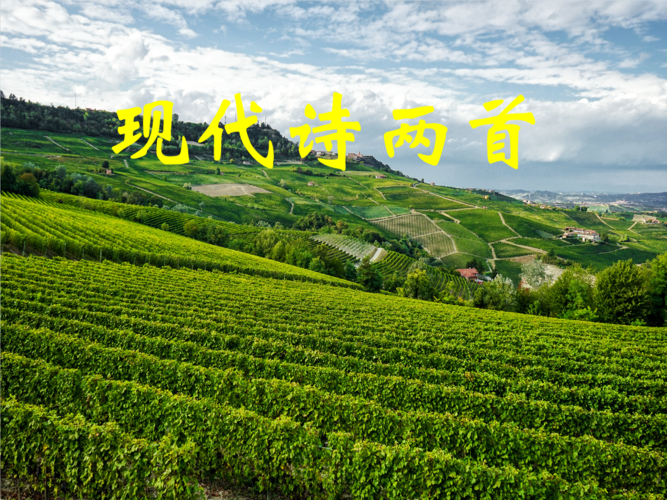 八年级语文-八年级语文现代诗两首.pptx