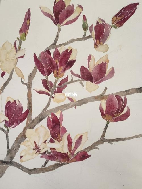 玉兰花_国画_国画工笔没骨_文化_绘画