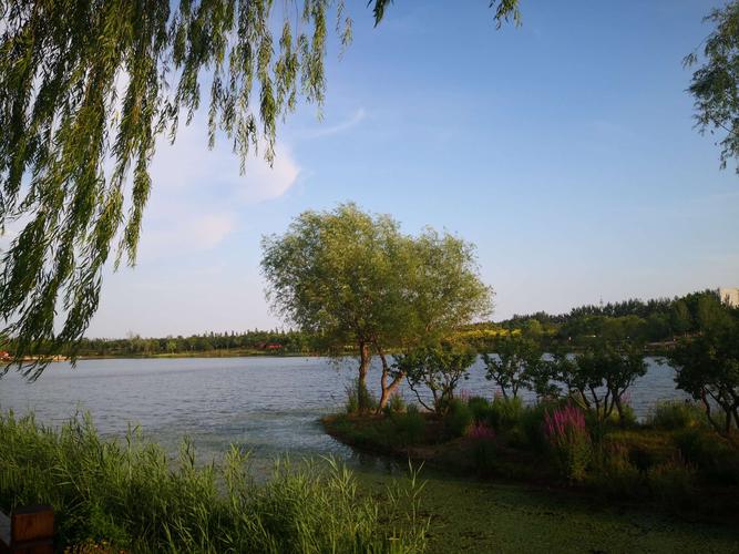 顺义东郊湿地公园