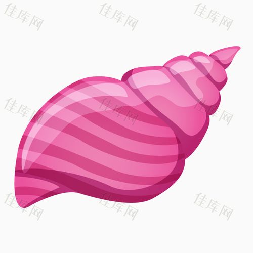 粉色海螺