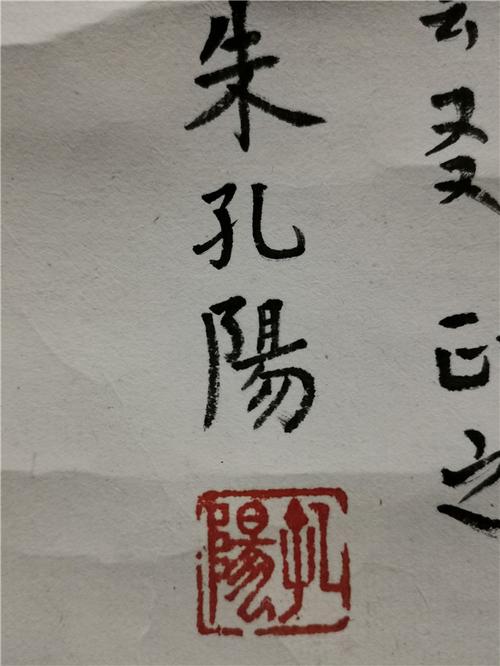 031 朱孔阳 红梅 镜片