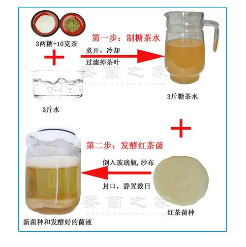 包邮 红茶菌 老坛母菌 醋蛾子 海宝 保健饮料减脂 够全家人饮用