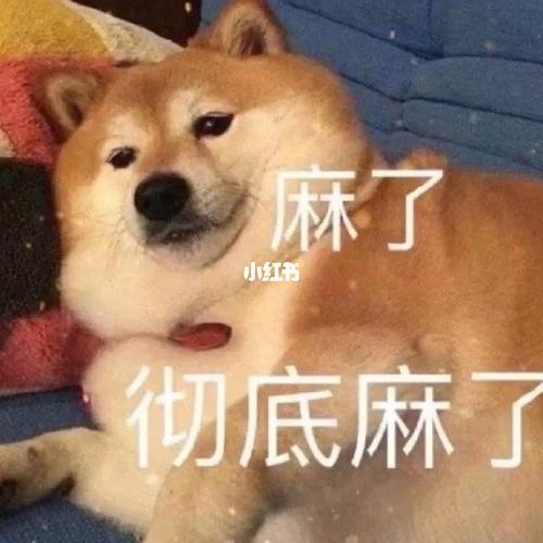 累_工作_素材_表情包