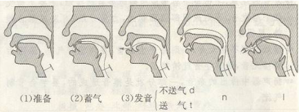 汉语拼音具体发音位置