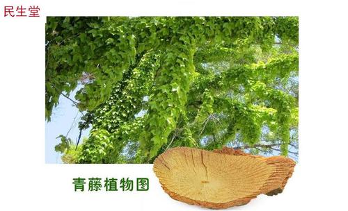 优质中药材青藤 寻风藤 清风藤 滇防己中草药500克满18元包邮