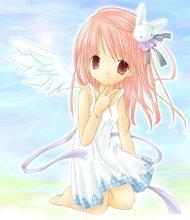 单翼的守护天使手抄报 手抄报图片大全集