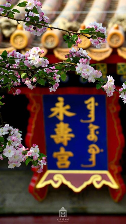 故宫##美景# #wallpaper# #壁纸# #锁屏# #背景# #手机壁纸
