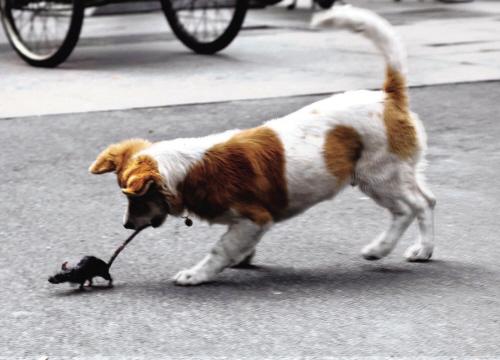 遇到不顺心的事情就抱怨,这样的人会过上什么样的生活?