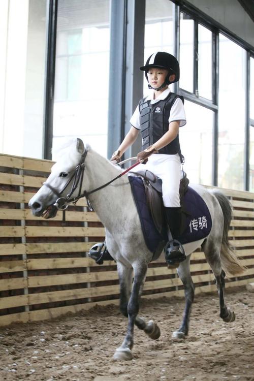 传骑马术丨干货送上,中国马文化小知识!
