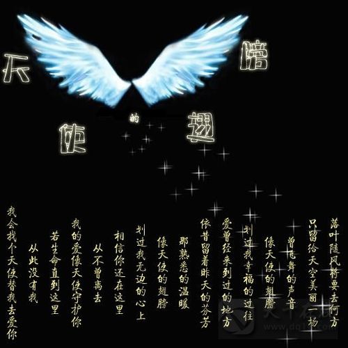 只留给天空美丽一场 曾飞舞的声音 像天使的翅膀 划过我幸福的过往 爱