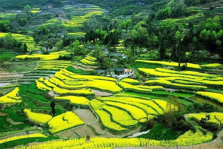 汉中的春天,绝对美得高调!山野如画,一眼千山.