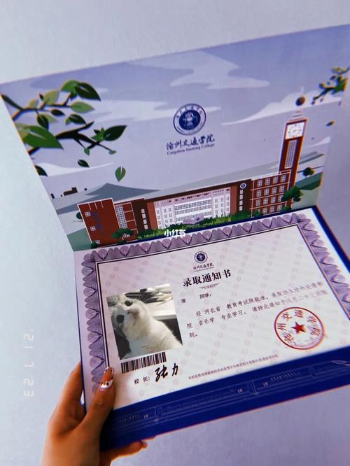 录取通知书_沧州交通学院_教育_教育