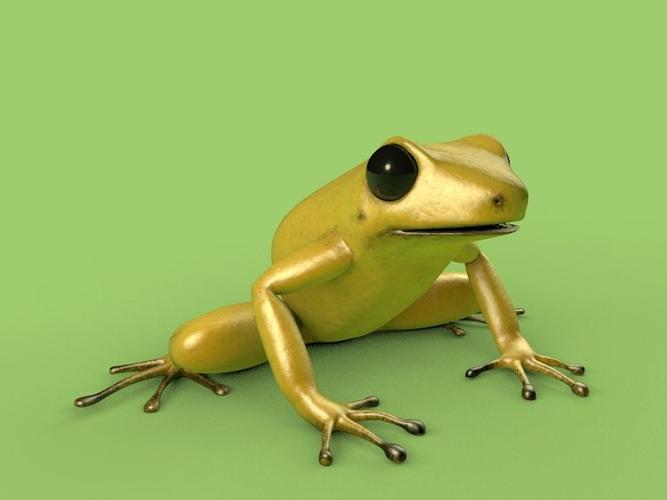 黄金箭毒蛙c4d绑定模型 golden poison frog