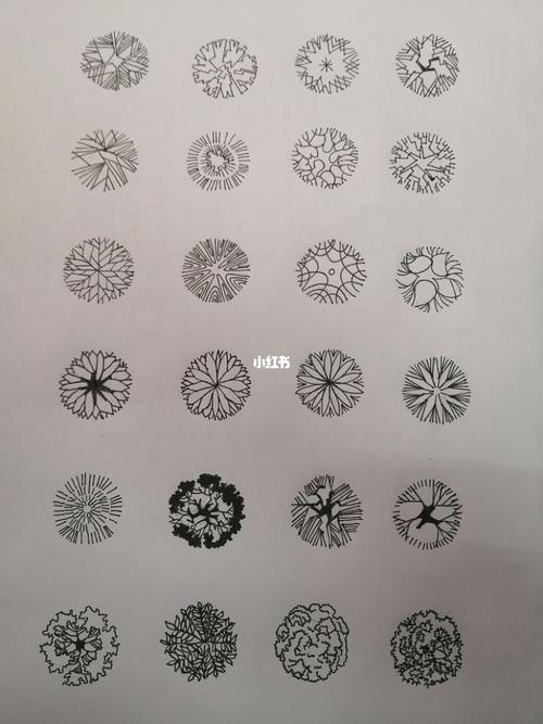 园林平面图中树的表现_园林_手绘_园林手绘_文化_绘画
