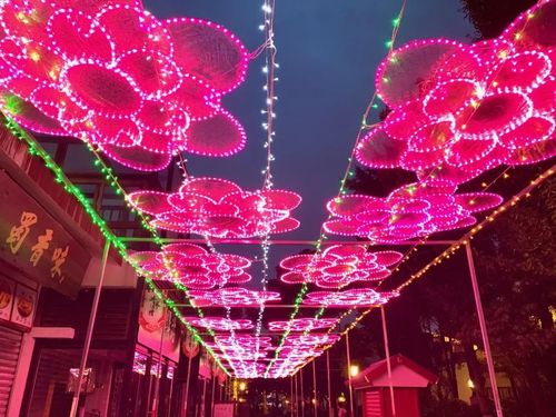 2019成都国色天香乐园灯会看点